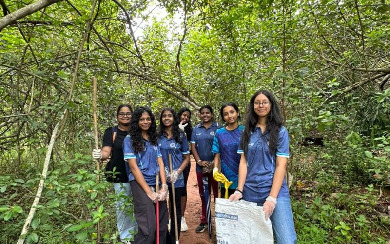 Small Actions, Big Change: Reflections from a Wetland Cleanup